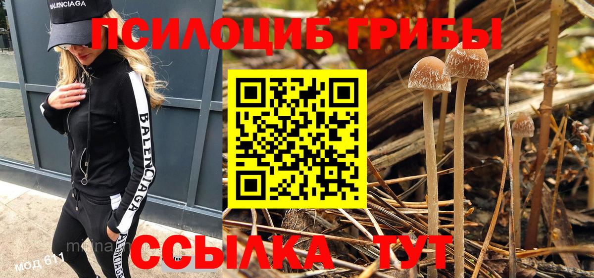 Псилоцибиновые грибы Psilocybe  Псилоцибиновые грибы Cubensis  Вход с VPN  Рассказово 
