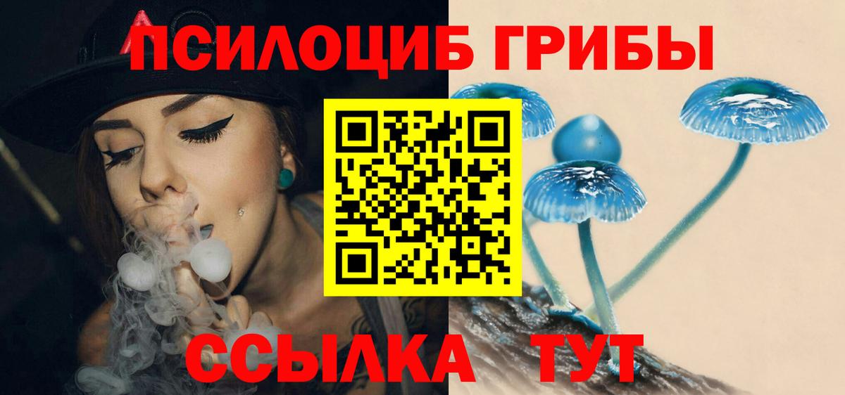 Галлюциногенные грибы Cubensis Рассказово
